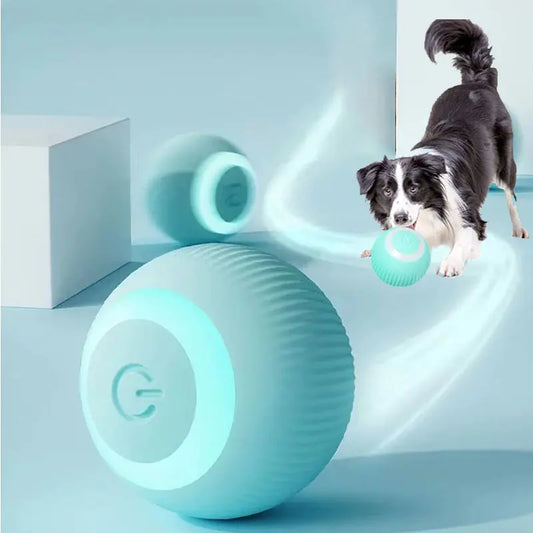 Electric Self-Moving Ball for your pet